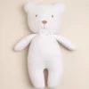 Oso de peluche grande ME
